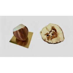 Trompe-l'œil Noisette