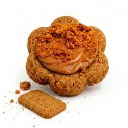 Fleur Cookie Spéculoos